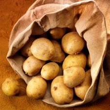 Truita de patates