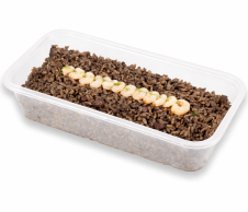 Paella d'arròs negre